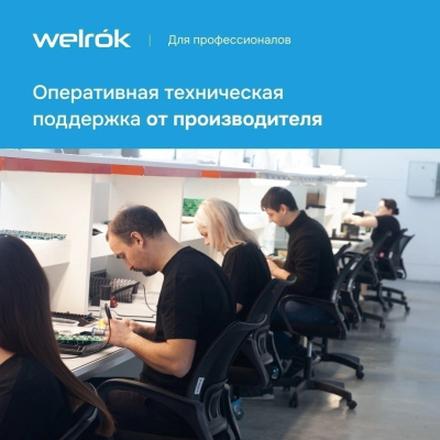 Реле напряжения Welrok PR bk в 