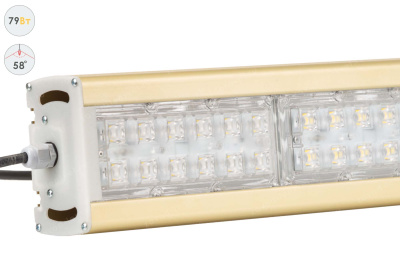 Прожектор GOLD, консоль K-1, 79 Вт, 58° в 