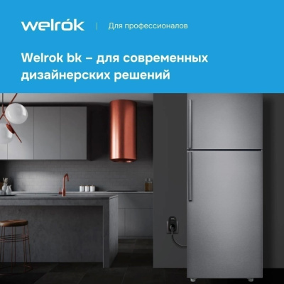 Реле напряжения Welrok PR bk в 