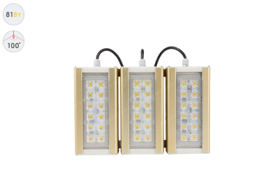 Прожектор GOLD, универсальный U-3, 81 Вт, 100° в 