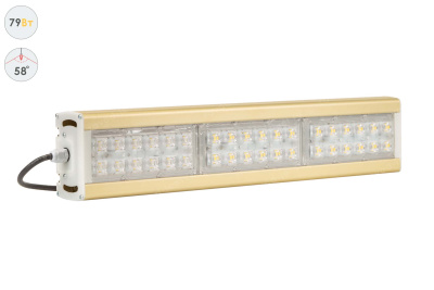 Прожектор GOLD, универсальный U-1, 79 Вт, 58° в 