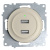 Розетка OneKeyElectro Florence USB двойная, с подсветкой, бежевая в 