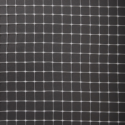 Защитная сетка Alfasetka упроченная прозрачная 2х50 в  Защитная сетка Alfasetka упроченная прозрачная 2х50 в