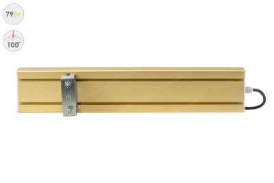 Прожектор GOLD, универсальный U-1, 79 Вт, 100° в 