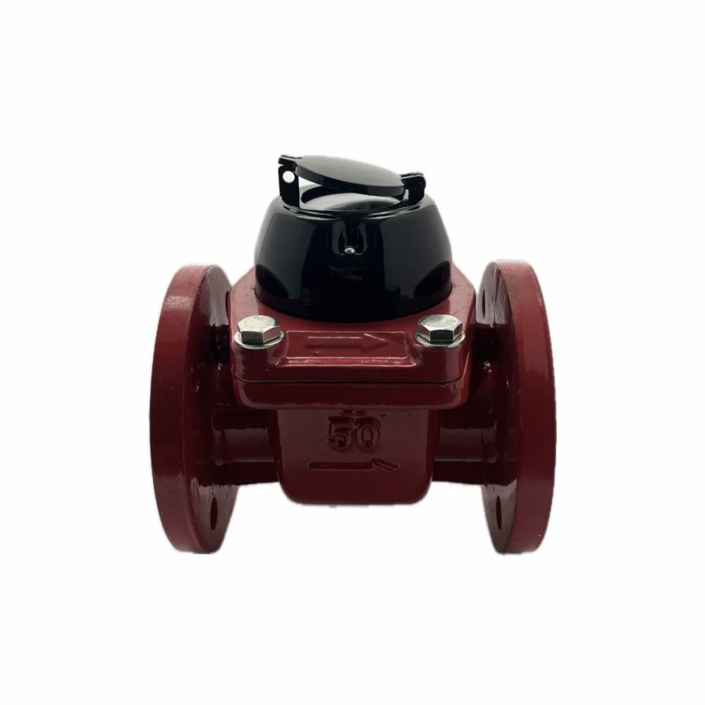 Росконтроль СВ-50В фланцевый (3)