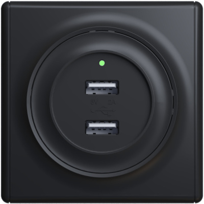 Розетка OneKeyElectro Florence USB двойная, с подсветкой, черная в 
