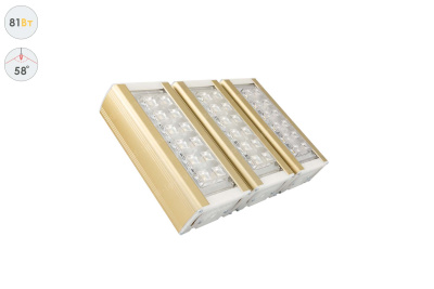 Прожектор GOLD, универсальный U-3, 81 Вт, 58° в 