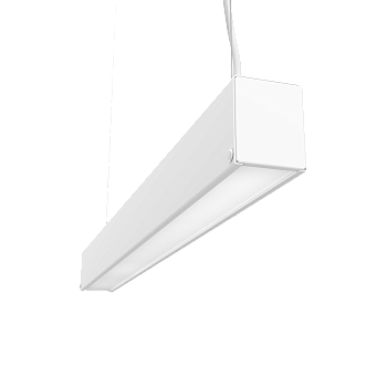 2023100913183924816.png